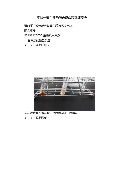 实验一蛋白质的颜色反应和沉淀反应