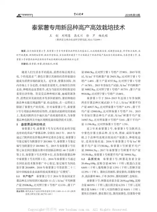 秦紫薯专用新品种高产高效栽培技术