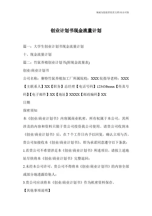 创业计划书现金流量计划