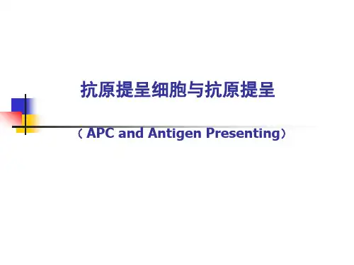 APC、抗原递呈