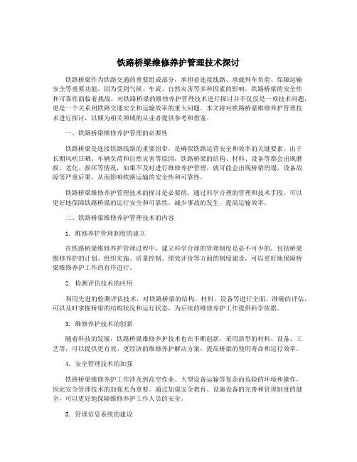 铁路桥梁维修养护管理技术探讨