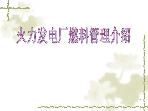 火力发电厂燃料管理介绍讲义.