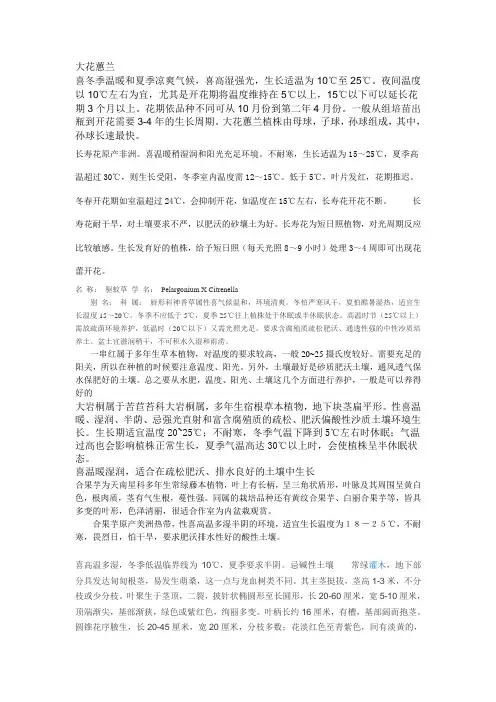 大花蕙兰