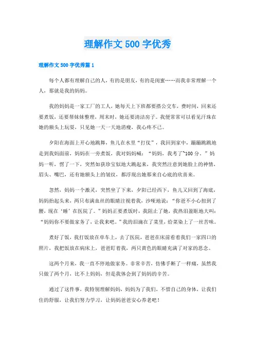 理解作文500字优秀