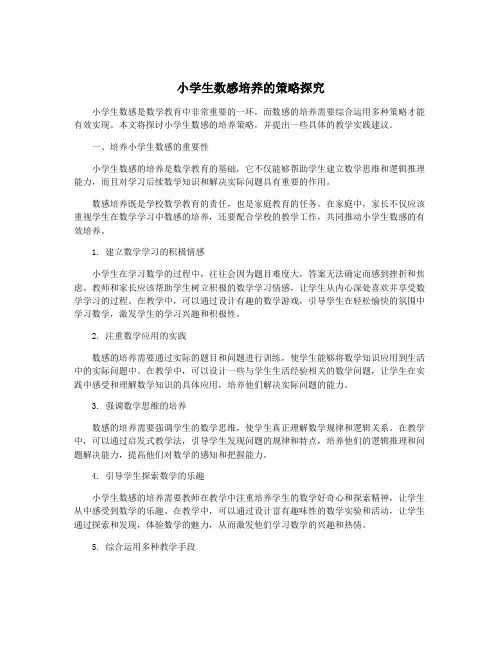 小学生数感培养的策略探究