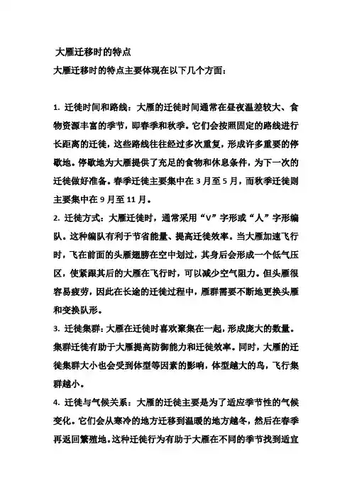 大雁迁移时的特点