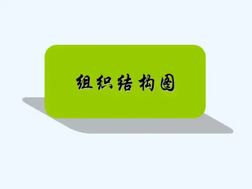经典组织结构图模板