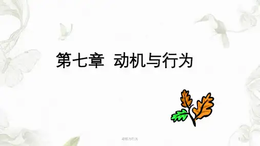 动机与行为ppt课件