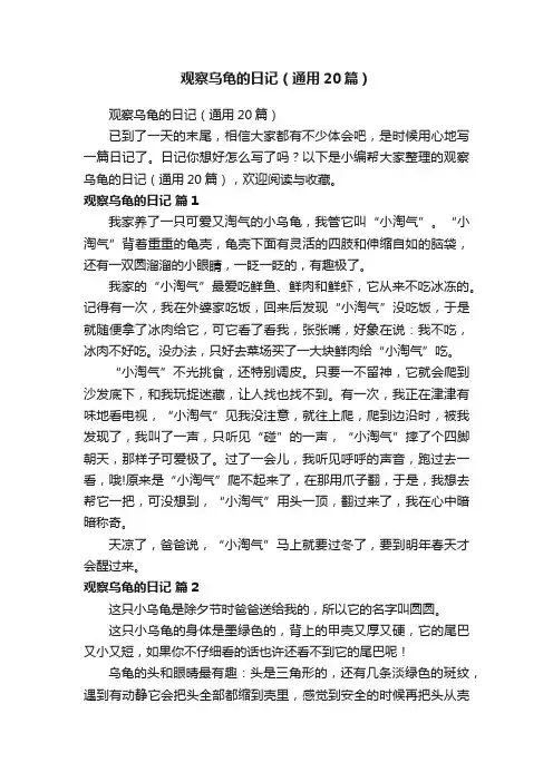 观察乌龟的日记（通用20篇）
