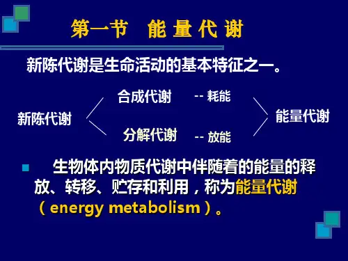 4.3能量代谢与体温生理学课件