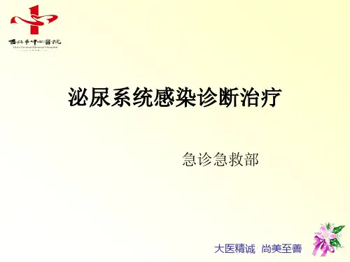 泌尿系统感染指南1精品PPT课件