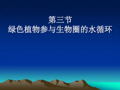 七年级上册第三章绿色植物参与生物圈的水循环课件(人教版)