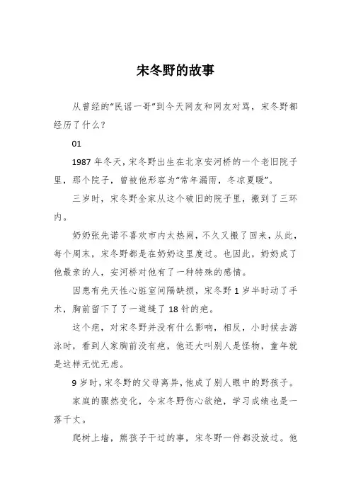宋冬野的故事
