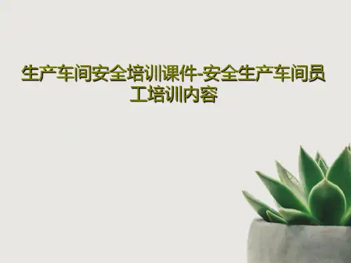 生产车间安全培训课件-安全生产车间员工培训内容共62页PPT