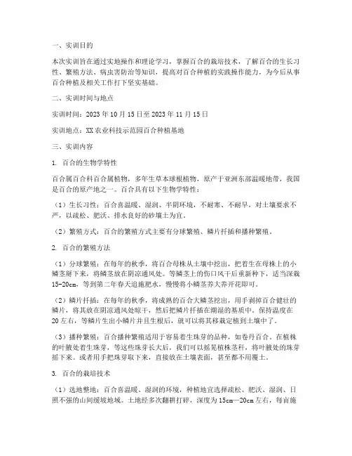 百合的栽培技术实训报告