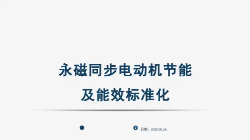 永磁同步电动机节能及能效标准化