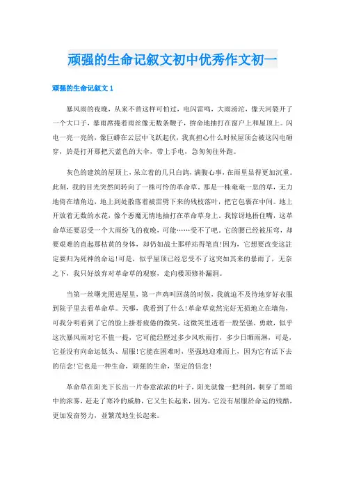 顽强的生命记叙文初中优秀作文初一