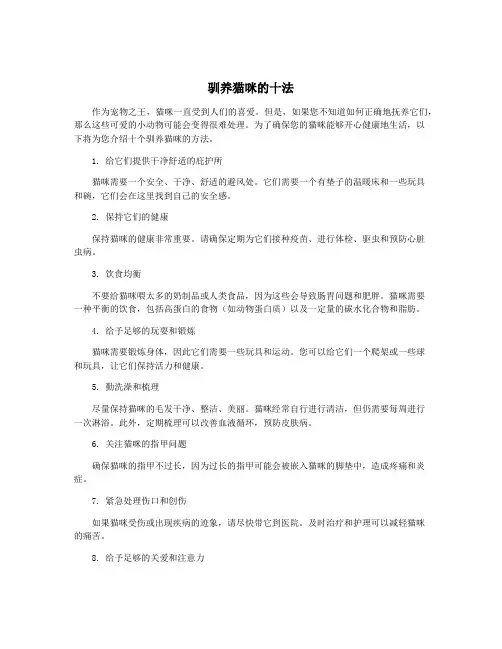 驯养猫咪的十法