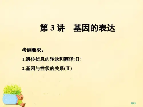 高考生物复习第二单元遗传的物质基础第3讲基因的表达必修全国公开课一等奖百校联赛示范课赛课特等奖PPT