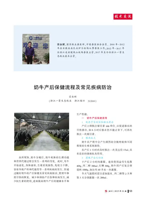 奶牛产后保健流程及常见疾病防治