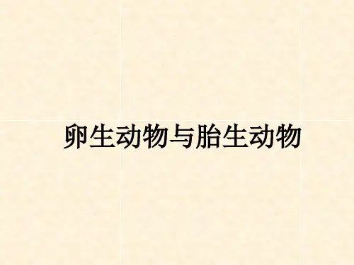 粤教版五年级科学上册 卵生动物与胎生动物PPT课件