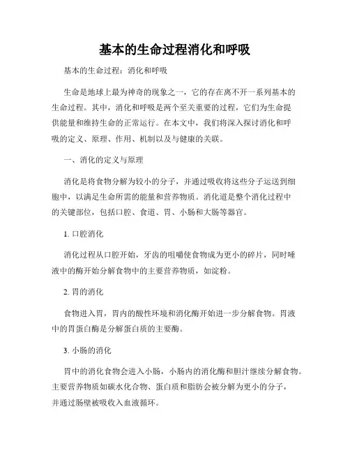 基本的生命过程消化和呼吸