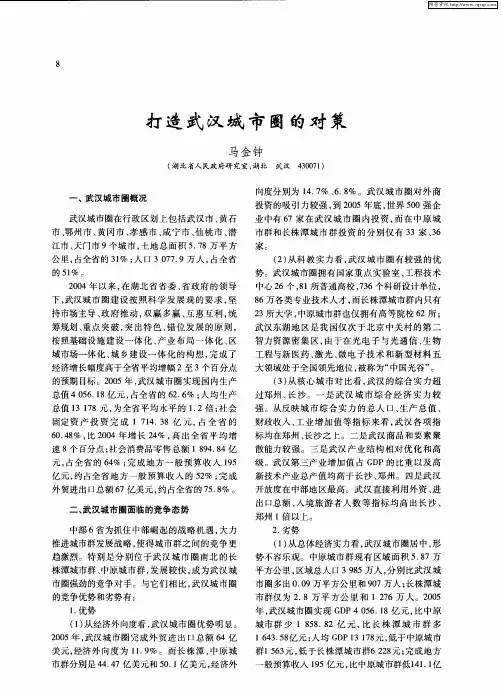 打造武汉城市圈的对策