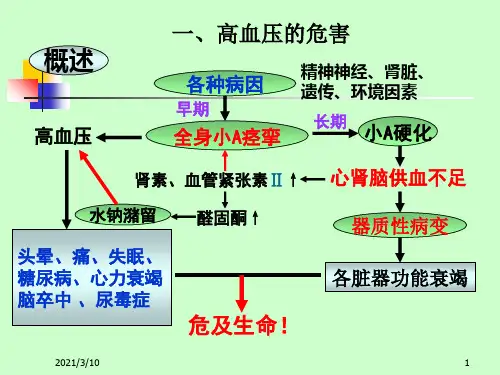 第18章  抗高血压药的临床用药_PPT幻灯片