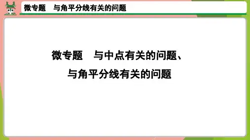 中考数学第一轮总复习微专题与中点有关的问题、与角平分线有关的问题课件全文