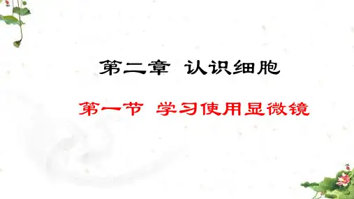 1.2.1  学习使用显微镜七年级上册人教版