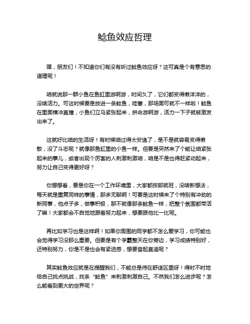 鲶鱼效应哲理
