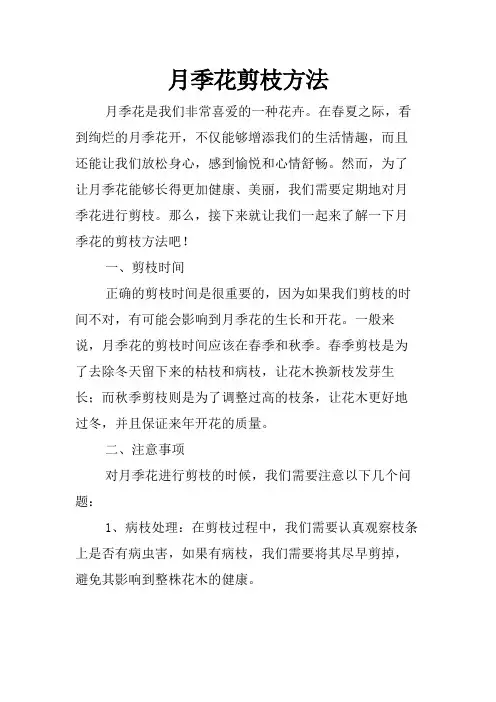 月季花剪枝方法