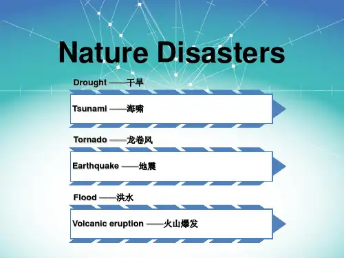 灾难(英文)ppt