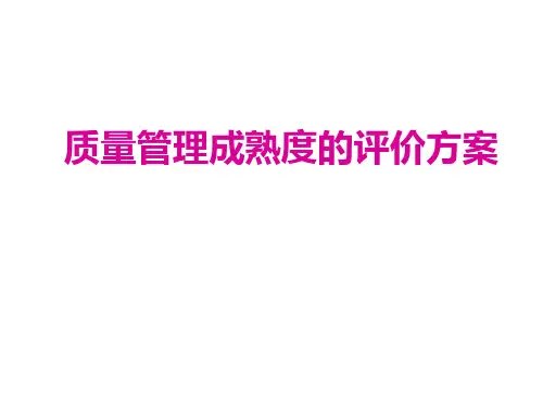 质量管理成熟度的评价方案(ppt 85页)