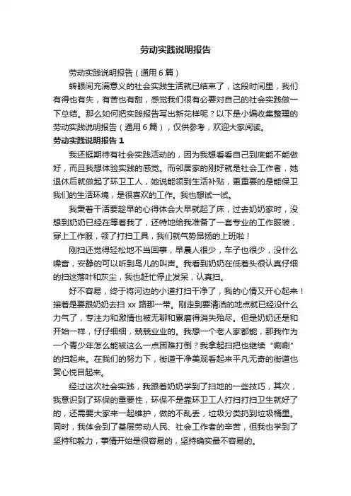 劳动实践说明报告（通用6篇）