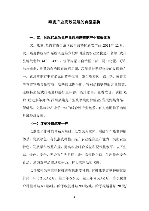 燕麦产业高效发展的典型案例