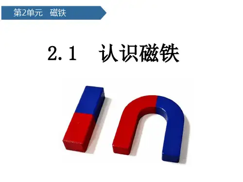 二年级下册科学课件认识磁极 青岛版(六年制)(共14页)PPT