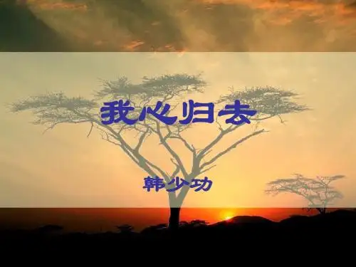 我心归去