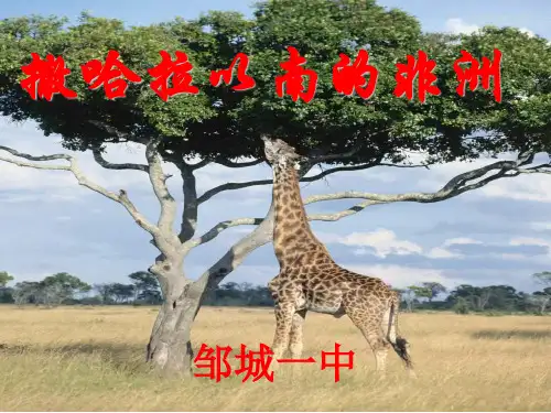 区域地理复习之撒哈拉以南的非洲(共60张PPT)