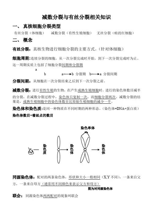 减数分裂与有丝分裂异同