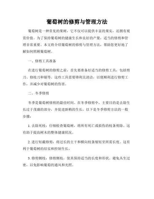 葡萄树的修剪与管理方法