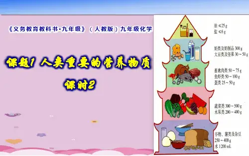 人教版九年级化学第十二单元课题1  人类重要的营养物质  课时2优质课件PPT