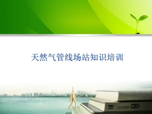 燃气输配系统培训ppt课件