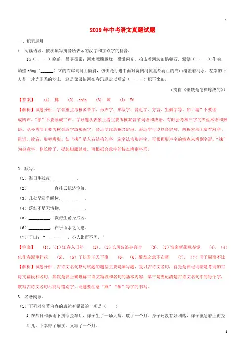 2019年中考语文真题试题(含解析)(新版)人教版