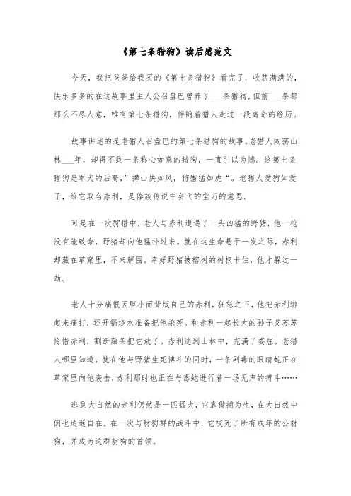 《第七条猎狗》读后感范文(3篇)
