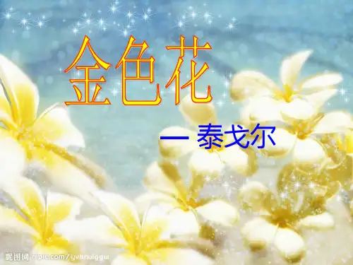 散文诗两首《金色花》《荷叶母亲》ppt课件