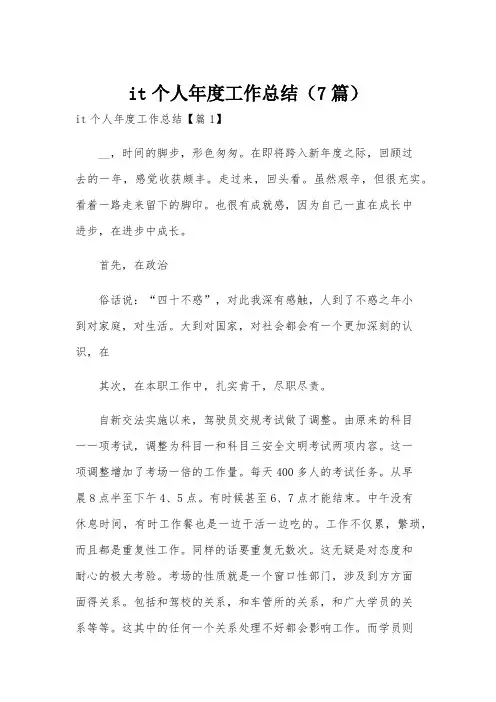 it个人年度工作总结(7篇)