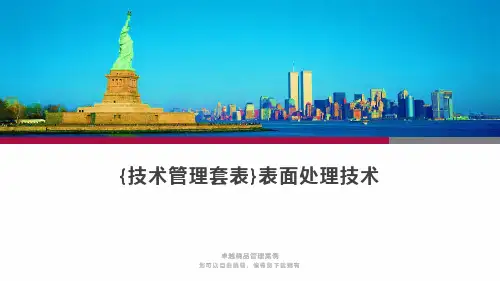 {技术管理套表}表面处理技术