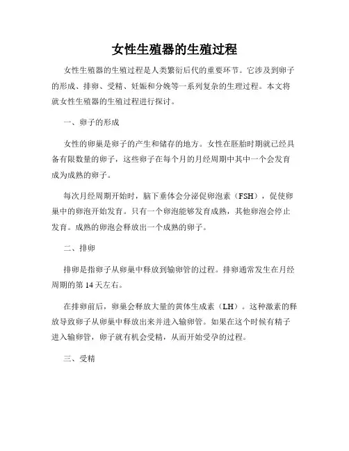 女性生殖器的生殖过程