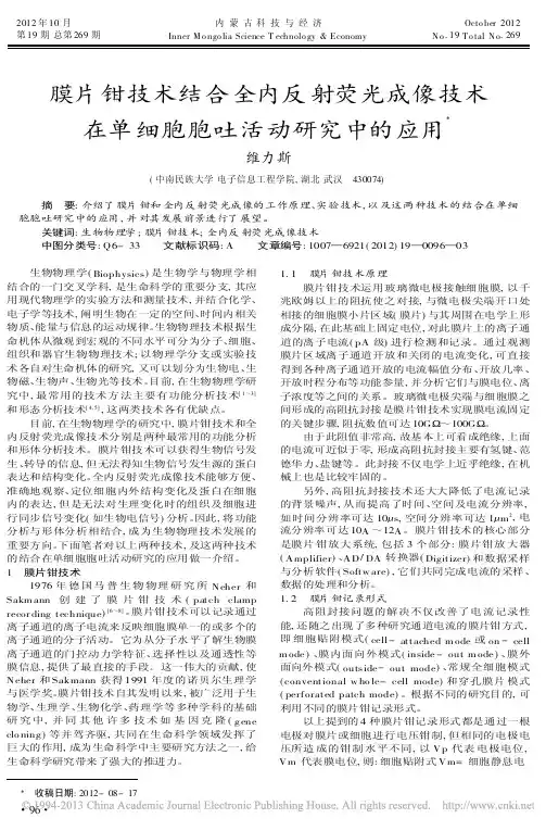 膜片钳技术结合全内反射荧光成像技术在单细胞胞吐活动研究中的应用维力斯